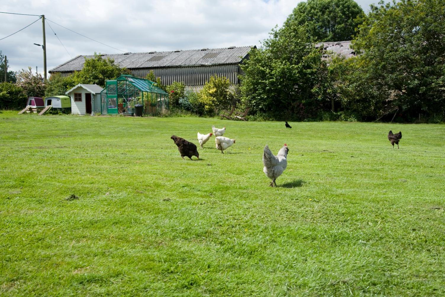 Ferienwohnung Padley Farm Bradfield Exterior foto